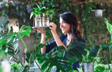 buy plants online buy plants online