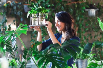 buy plants online